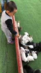 -萌宠亲子动物乐园(槐房万达店)