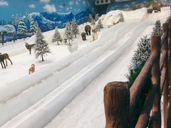 -世界之窗阿尔卑斯冰雪世界