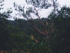 -黄龙带水库