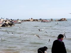 -老虎石海上公园