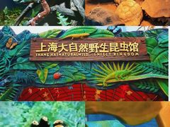 -上海大自然野生昆虫馆(东方明珠·爬宠昆虫探索中心)