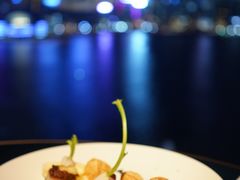 北海道带子配紫菜饭-Aqua