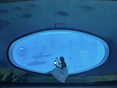 -海合安成都极地海洋公园