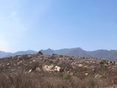 -白水寺森林公园