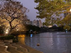 -荔湾湖公园