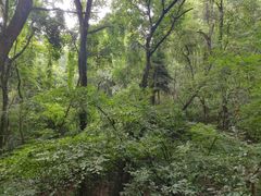 -东湖磨山景区