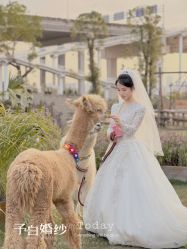 点击看大图 -予白婚纱礼服馆