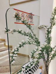 -MIDA蜜哒•科技逆龄美肤连锁