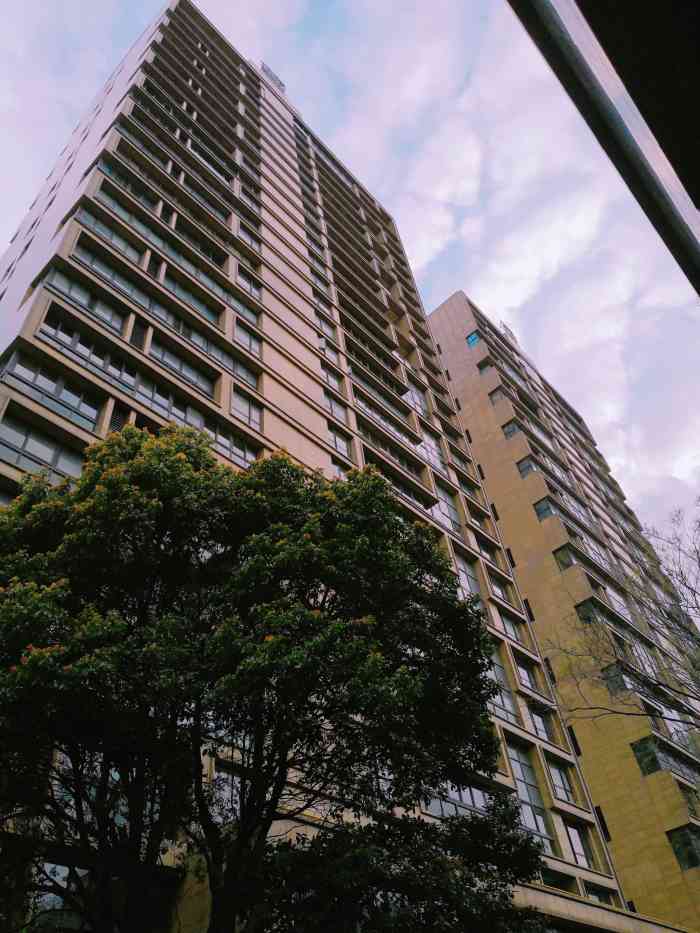 藏珑-"位于市中心东西干道青年中路8号由两栋28."-大众点评移动版