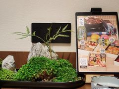 -水之惠鲜鱼料理(王府大街店)