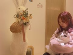 -猫腻·猫咖·撸猫馆(星光大道店)