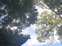 -北京国子监胡同