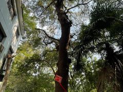 -敬亭山风景名胜区