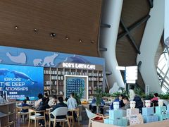 -抱抱地球咖啡馆(国家海洋博物馆店)