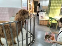 -Moni星球萌宠·小马宝莉·灵蛇·高端高阶全萌宠互动体验俱乐部(红豆国际广场店)