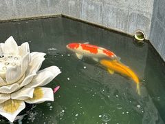 -西安市广仁寺