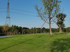 -长田漾湿地公园