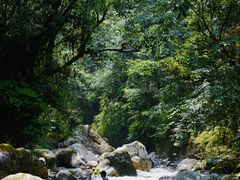 -西岭雪山大飞水景区