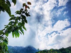 -秦岭风景区