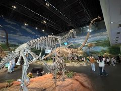 -自贡恐龙博物馆