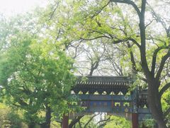 -北京国子监胡同