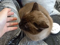 -About Bistro關於·泰式家庭料理