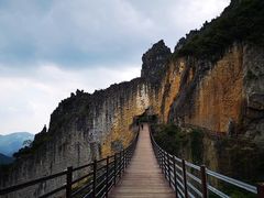 -武陵山森林公园