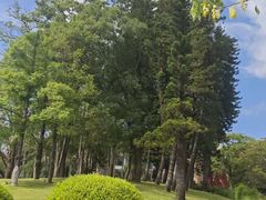 -四海公园(南山区)