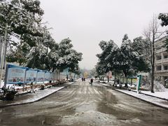 南门-浙江越秀外国语学院