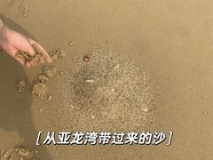 -海南清水湾莱佛士酒店