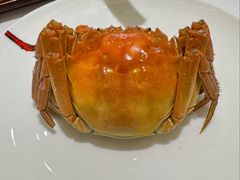 阳澄湖大闸蟹-南景饭店(万家丽路店)