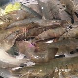 非常勤快。一次满意的就餐