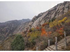 -北京凤凰岭