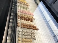 -BLACKSWAN黑天鹅(环球店)