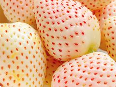 -西郊国际农产品交易中心