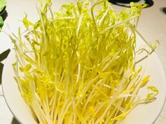 龙须菜-一叶一世界·素食餐厅(锦华万达店)