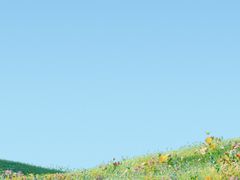 -武汉市第四中学