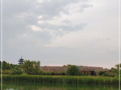 -洋湖国家湿地公园