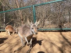 -济南野生动物世界