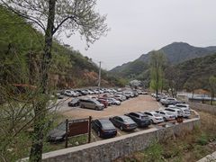 -大岭沟猕猴桃谷风景区