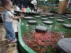 -上海大自然野生昆虫馆(东方明珠·爬宠昆虫探索中心)