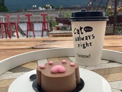 -喵屿·大理花园猫咖