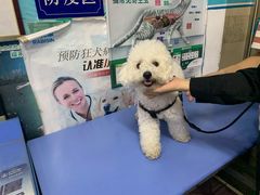 -恒康宠物医院(司背后街店)