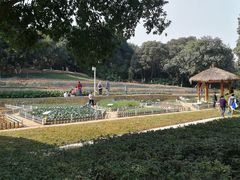 -天河儿童公园