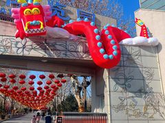 -南宫五洲植物乐园