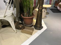 -小时光咖啡馆(开森度假森林店)