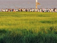 -南汇嘴观海公园