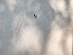 -红山体育乐园