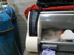 -瑞派名望志远动物医院·猫科·內科·异宠专科(直港大道店)