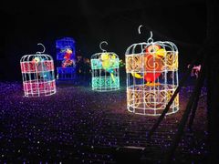 -飞凤山奥体公园